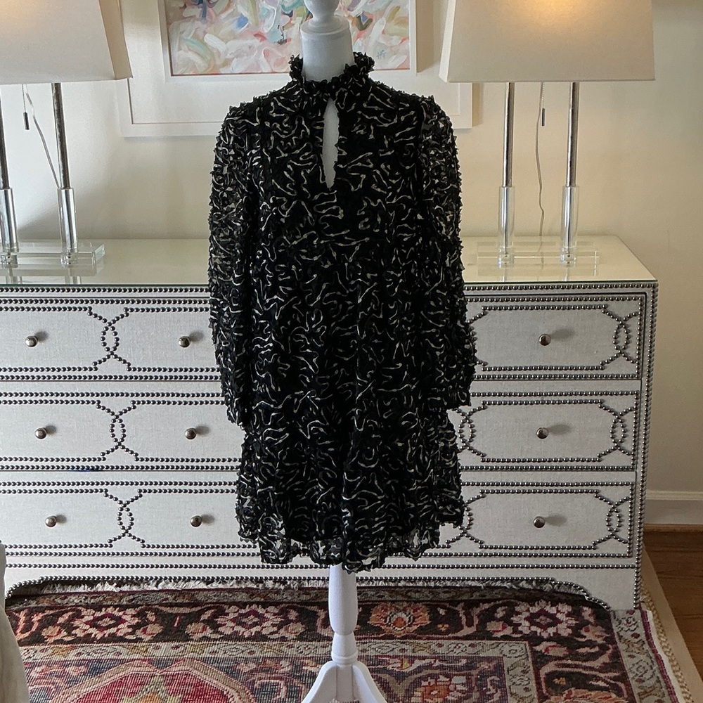 Tuckernuck Black Long Sleeve Textured Mini Dress with Ruffle Neckline